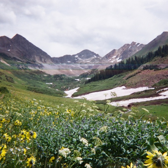 Meet your Posher, Anya - Picture 1 of 1